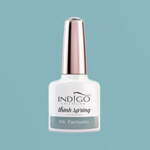 Load image into Gallery viewer, MR. FANTASTIC GĒL LAKA - 7 ML