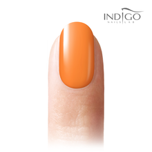 Load image into Gallery viewer, https://b2b.indigo-nails.com/fotki/fk_8415_836f438.jpg