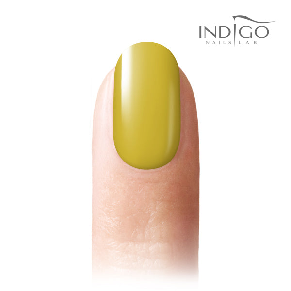 https://b2b.indigo-nails.com/fotki/fa_8590_9b1145f.png